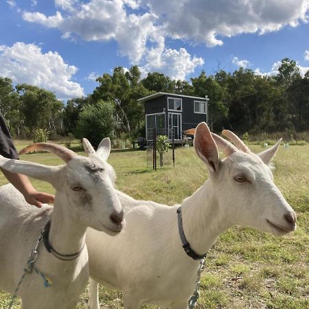 Villa Saddle Camp Tiny House By Tiny Away à Braidwood Extérieur photo