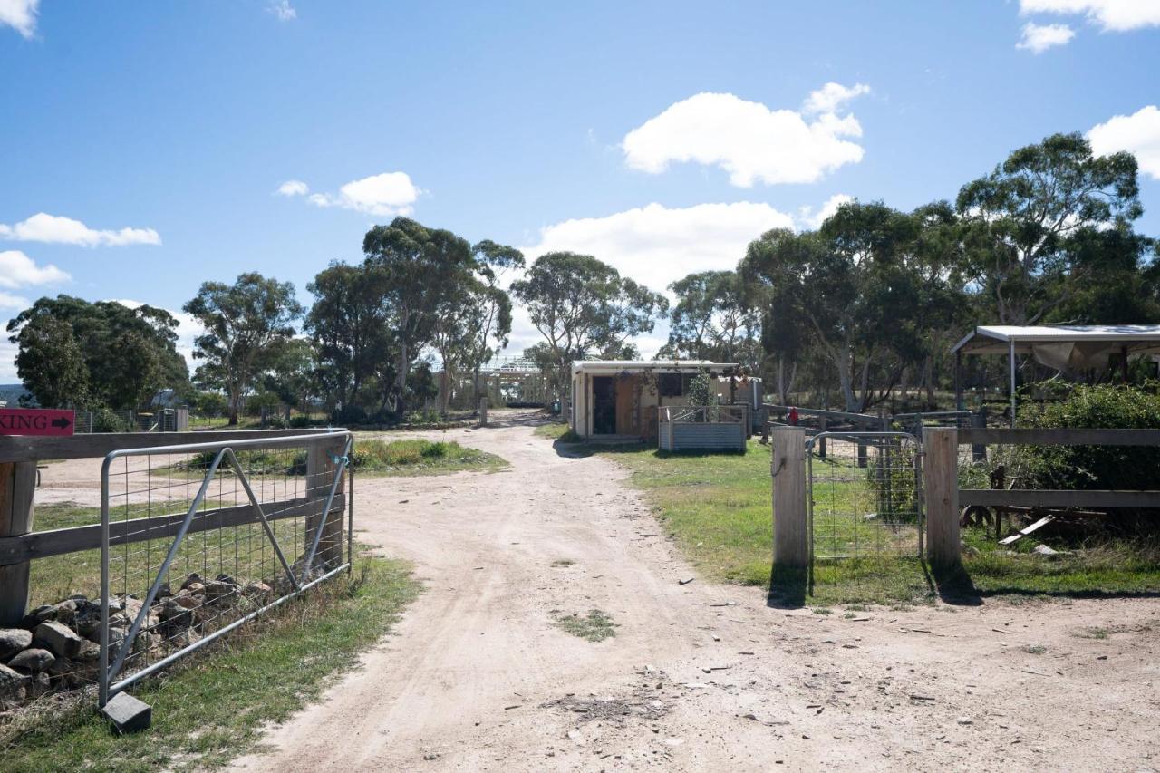 Villa Saddle Camp Tiny House By Tiny Away à Braidwood Extérieur photo