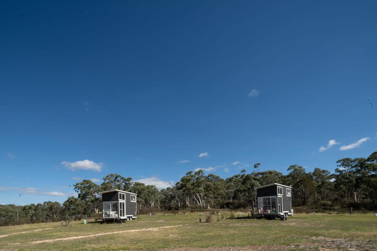 Villa Saddle Camp Tiny House By Tiny Away à Braidwood Extérieur photo